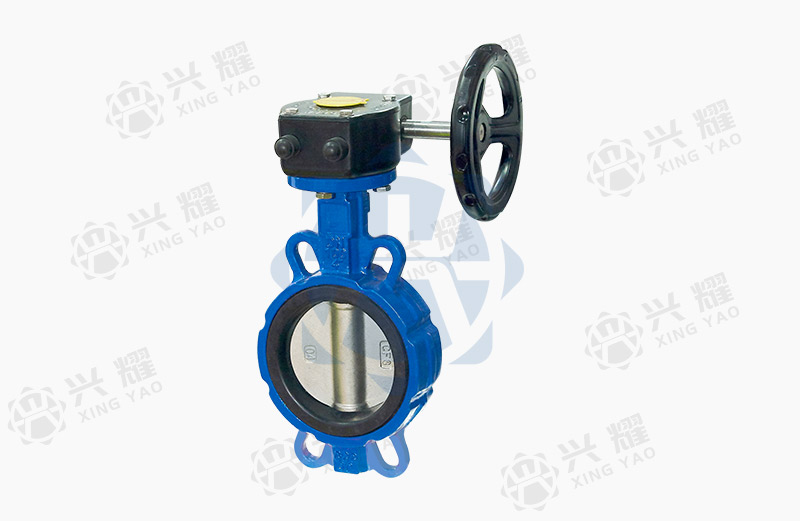 Turbine pair clip butterfly valve